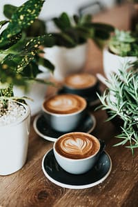 Tres_tazas_cafe_plantas